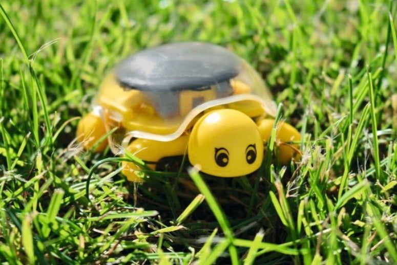 Moses Phänomint solarschildkröte