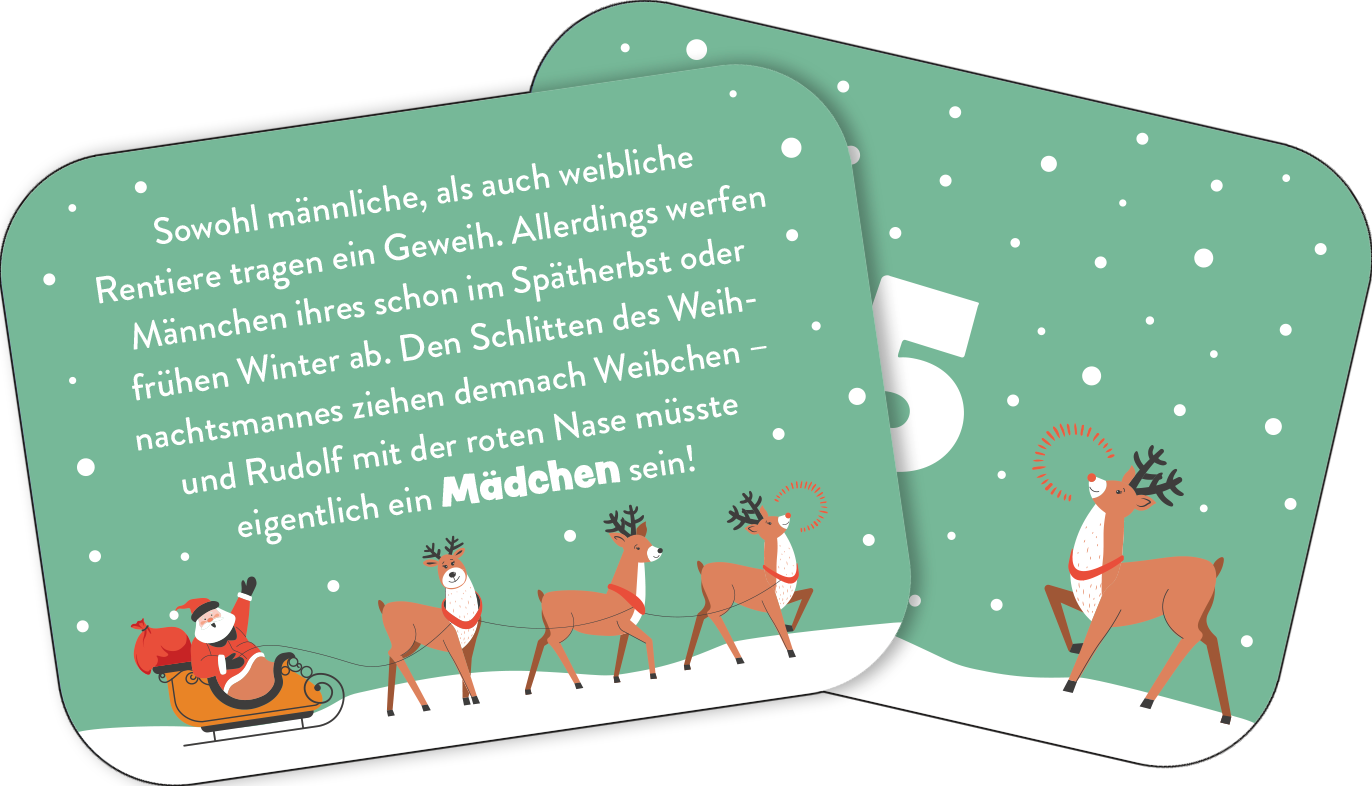 Pattloch 24x cooles Weihnachtswissen für Kinder