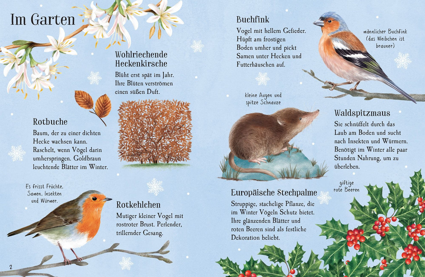 Usborne minis Naturführer - Entdecke den Winter