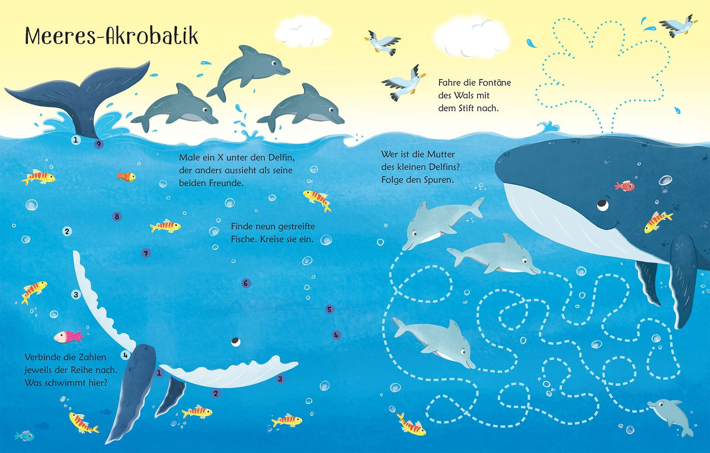 Usborne mein wisch und weg Buch Im Meer