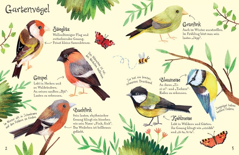 Usborne Minis - Naturführer Vögel