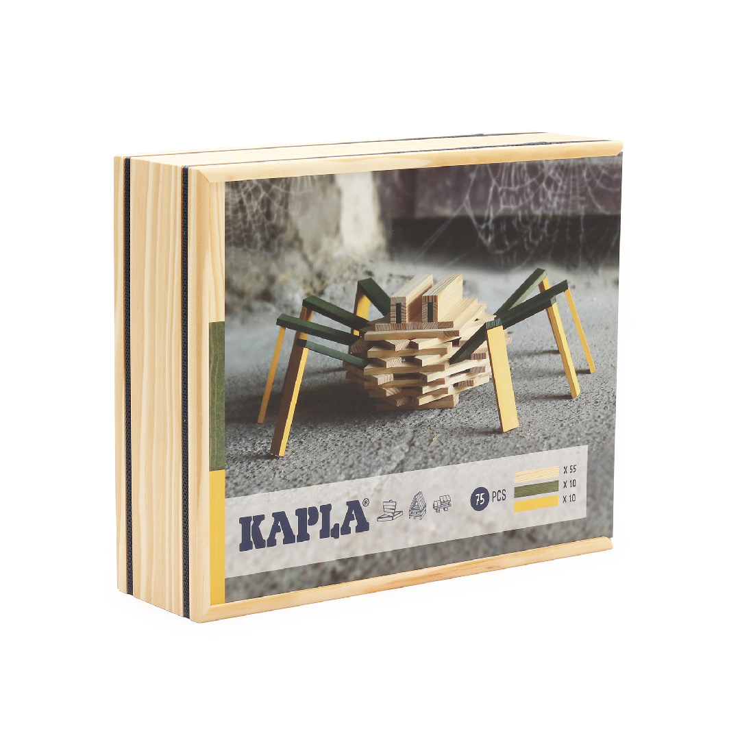 Kapla Baukasten Spinne