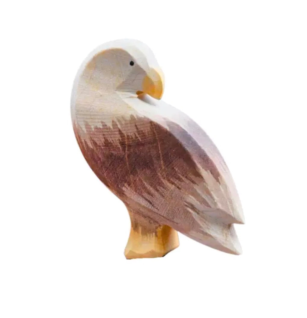 Ostheimer Seeadler stehend