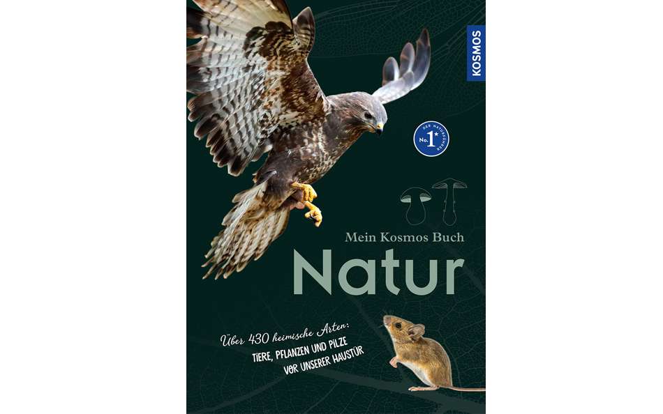 Mein Kosmos Buch - Natur