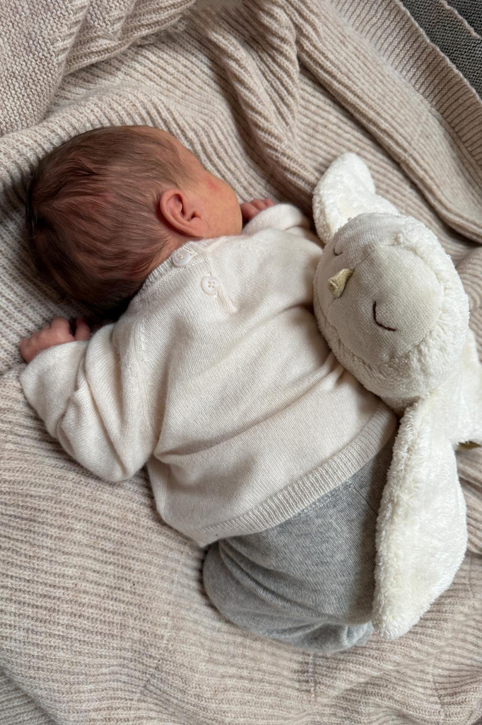 Senger Kuscheltier Schneeeule klein mit Wärmekissen
