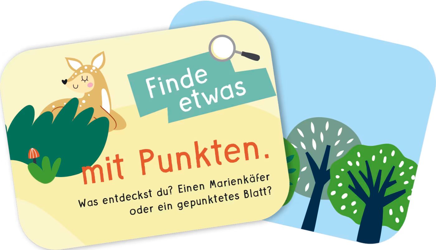 Pattloch Meine Schatzsuche in der Natur