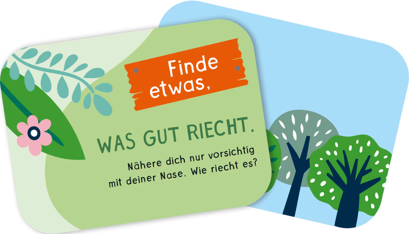 Pattloch Meine Schatzsuche in der Natur