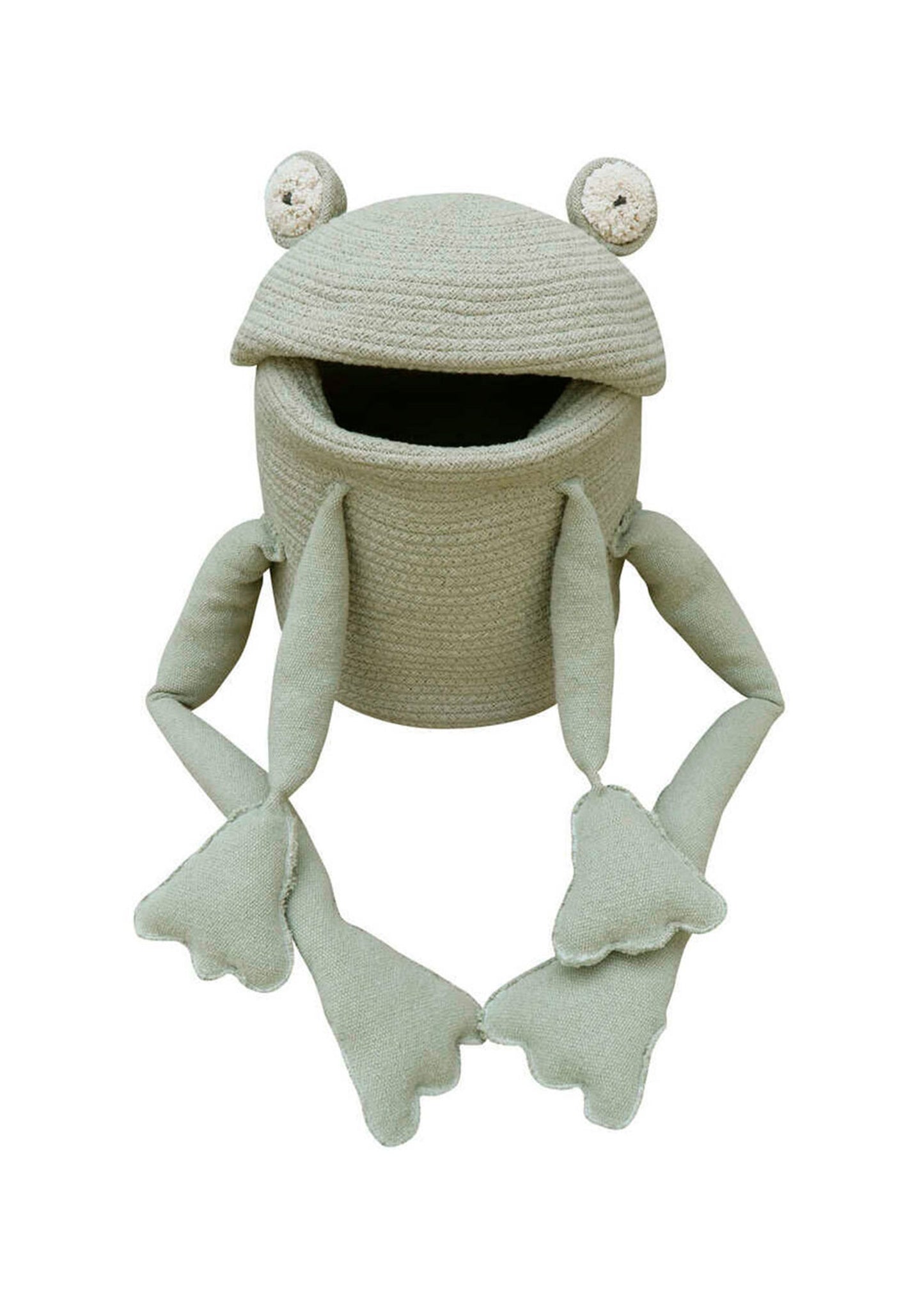Lorena Canals Fred the Frog