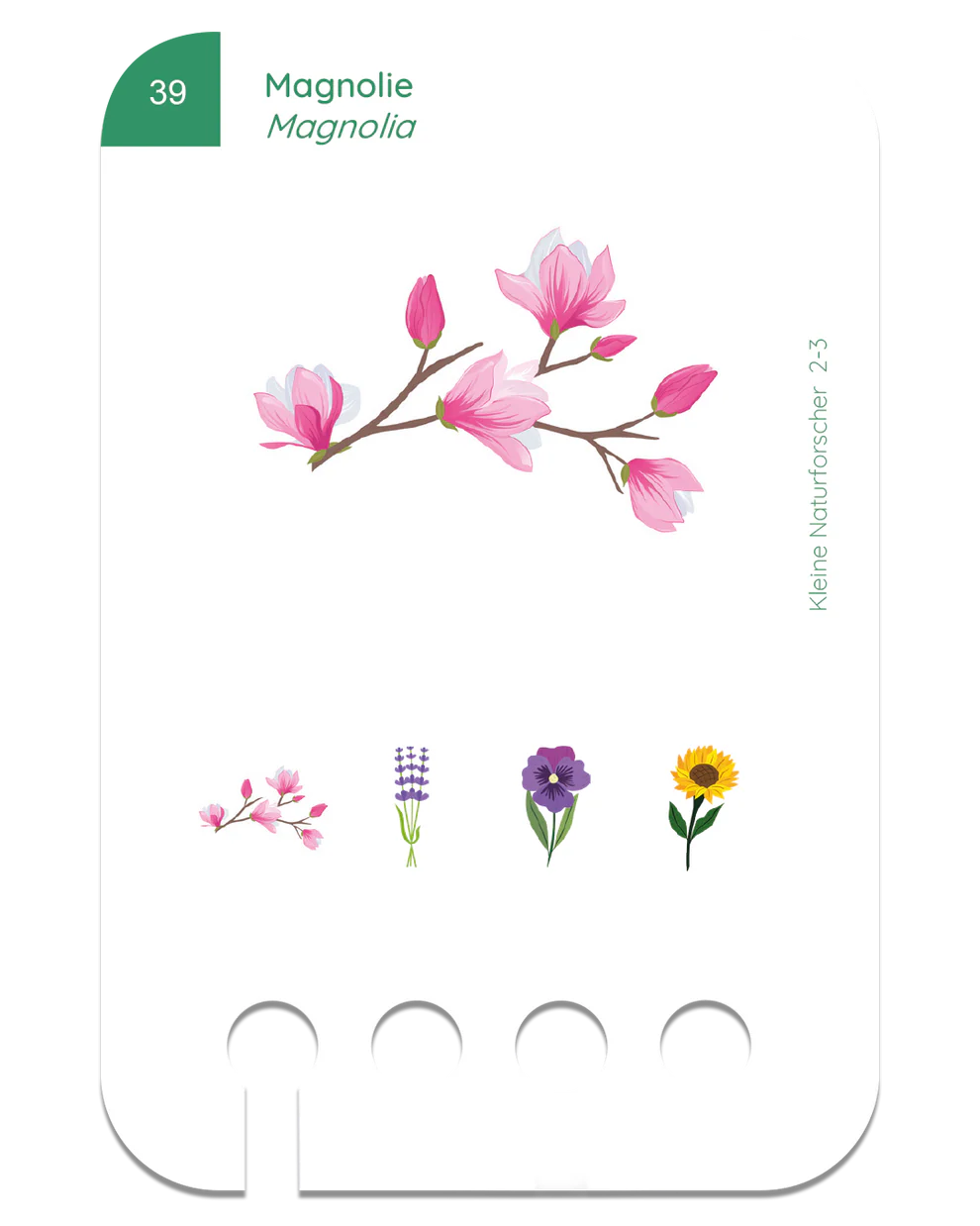 Kölner Lernspielverlag - kleine Naturforscher, 2-3 Jahre