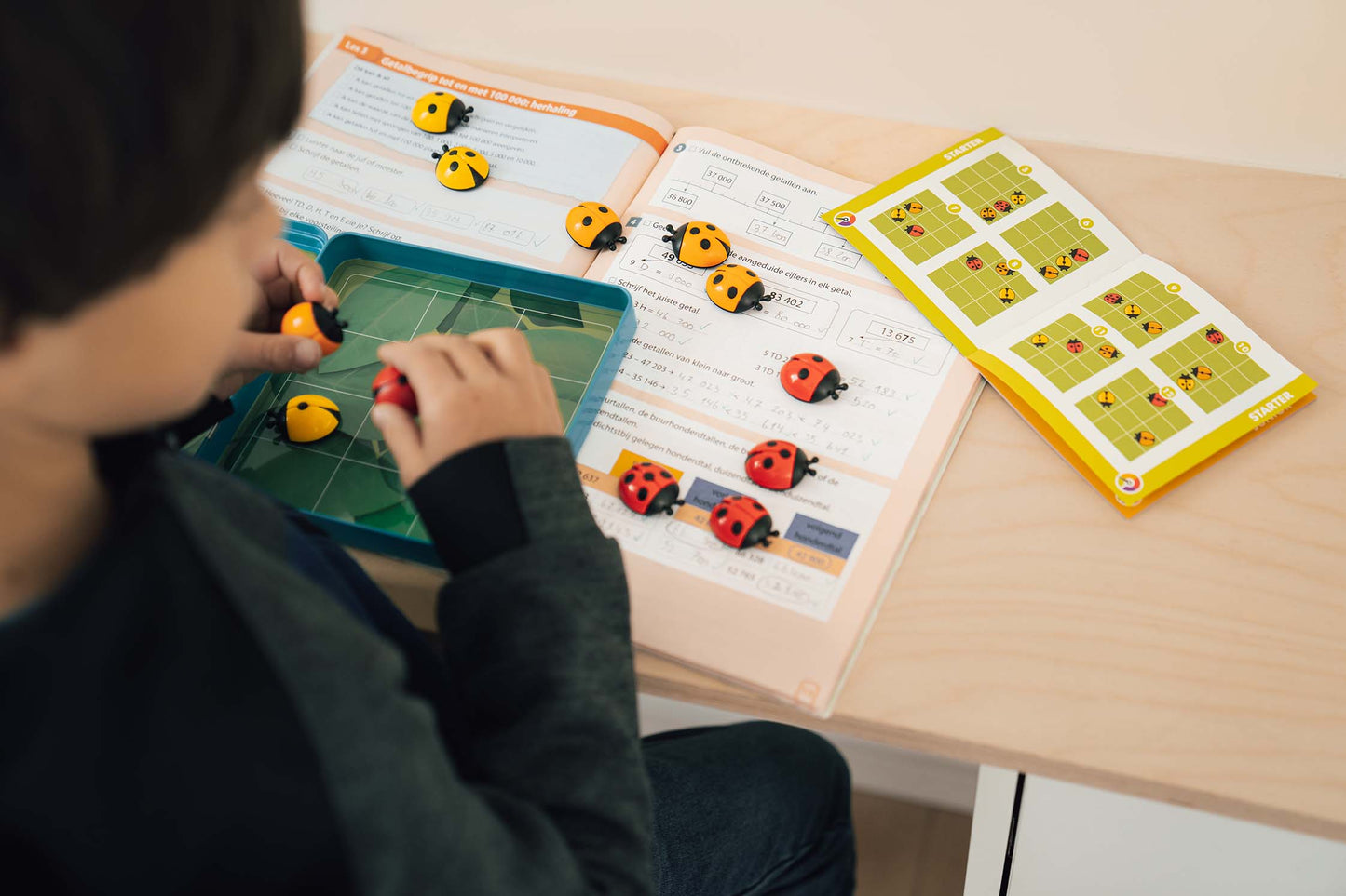 Smart Games Käferkarusell