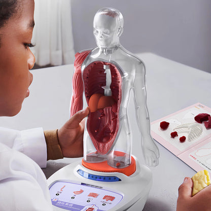 Topbright Mein Körper