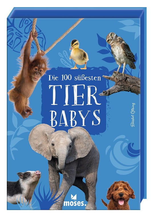 Moses 100 süßesten Tierbabys
