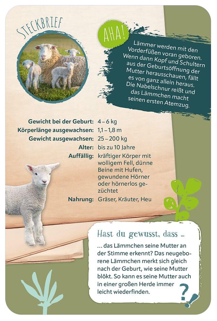 Moses 100 süßesten Tierbabys