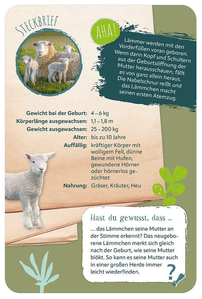 Moses 100 süßesten Tierbabys