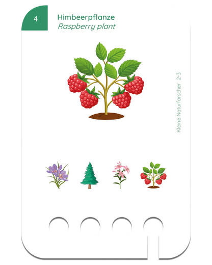 Kölner Lernspielverlag - kleine Naturforscher, 2-3 Jahre