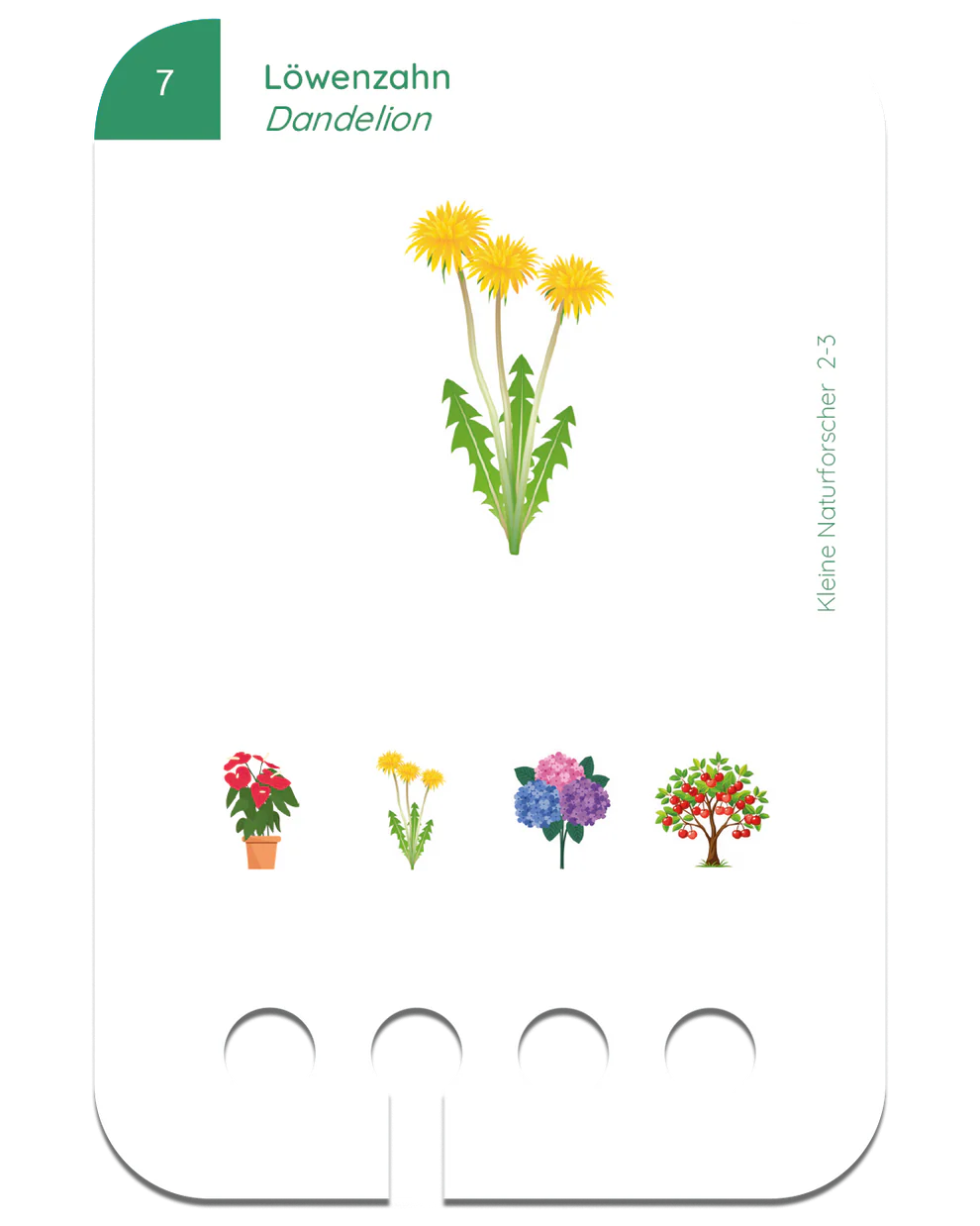 Kölner Lernspielverlag - kleine Naturforscher, 2-3 Jahre