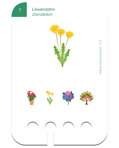 Kölner Lernspielverlag - kleine Naturforscher, 2-3 Jahre