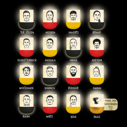 Mega Light Mystery Lights - DFB Edition