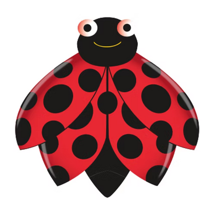 Kites Skybugz Kinderdrache 1 Leine