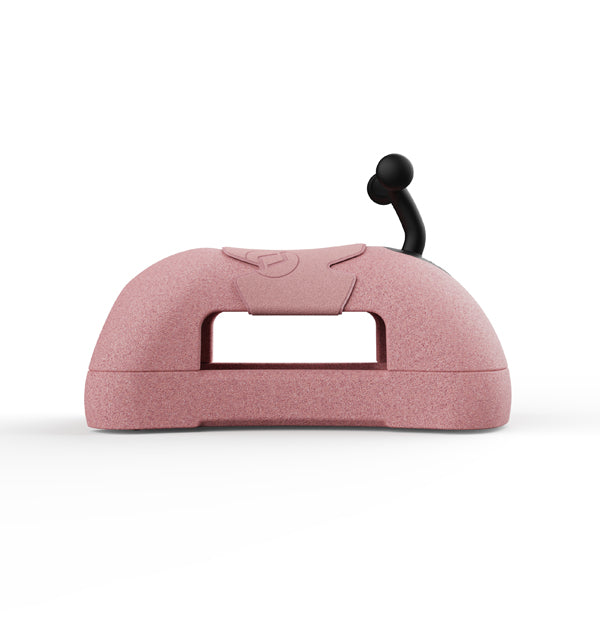 Scoot and Ride My First Rutschfahrzeug