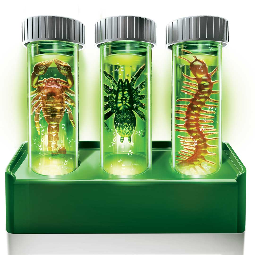 Halloween Creepy Crawly-Ausgrabungsset