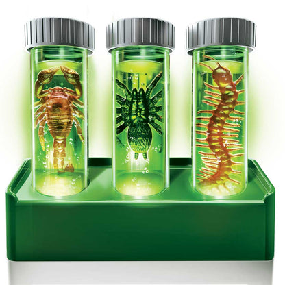 Halloween Creepy Crawly-Ausgrabungsset