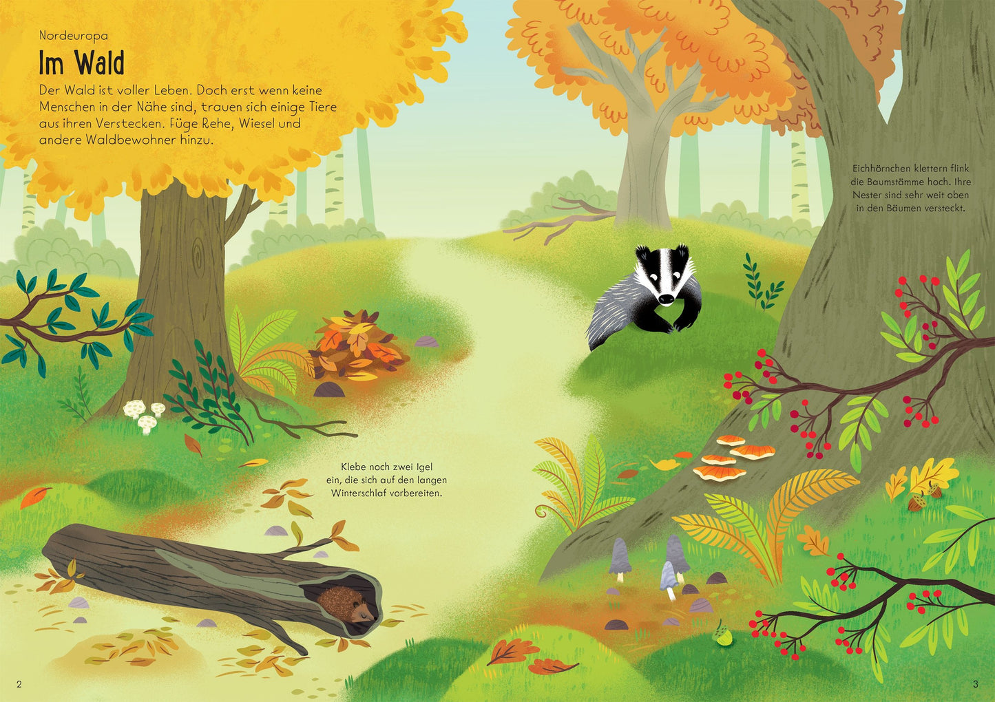 Usborne Mein Immer-wieder-Stickerbuch Tiere der Welt in Wald, Meer und Wüste
