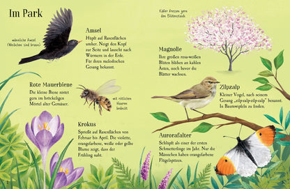 Usborne minis Naturführer - Entdecke den Frühling