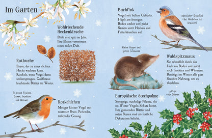 Usborne minis Naturführer - Entdecke den Winter
