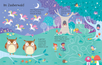 Usborne Mein wisch und weg Buch Feen