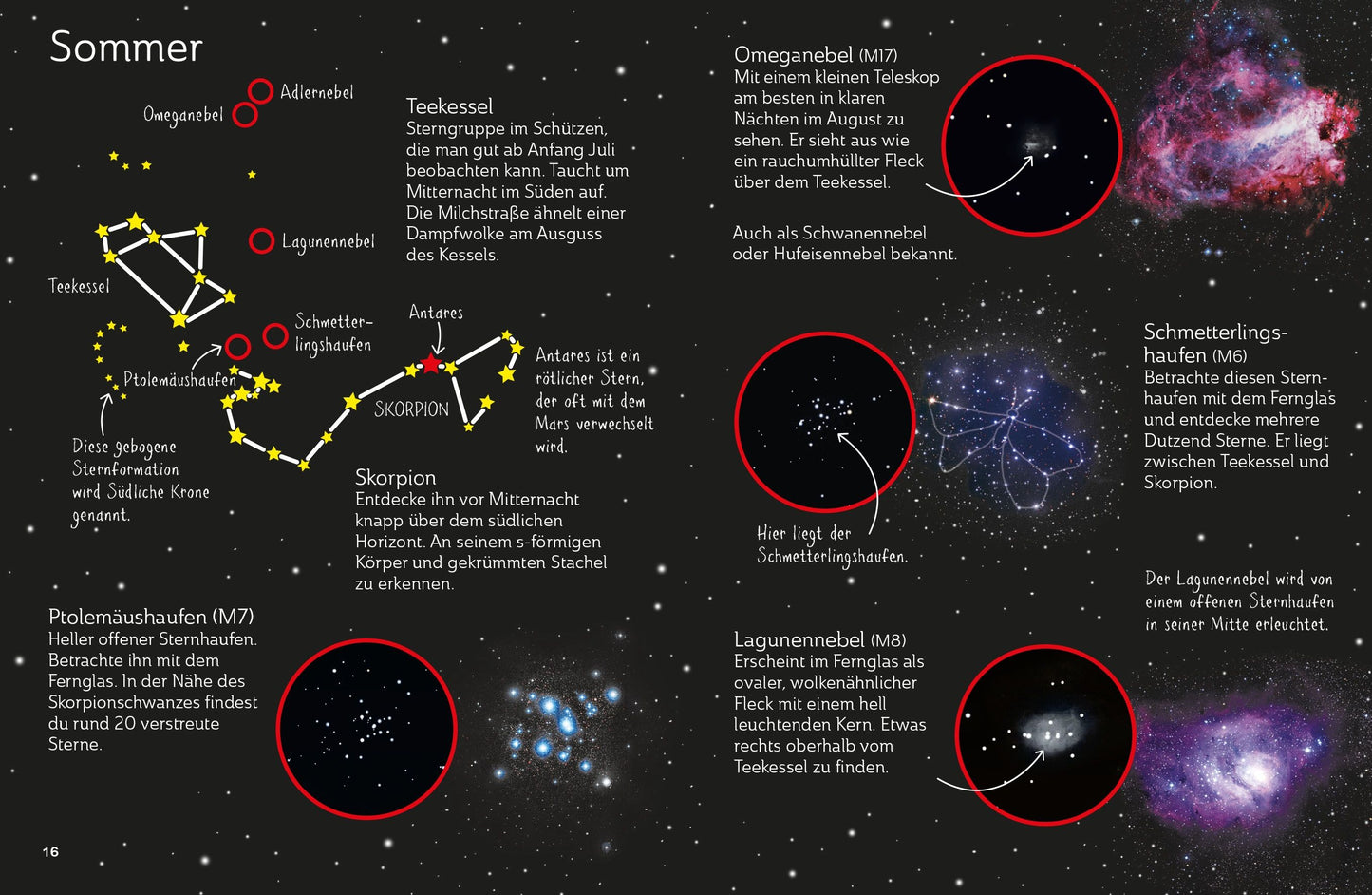 Usborne Minis Naturführer Den Nachthimmel entdecken