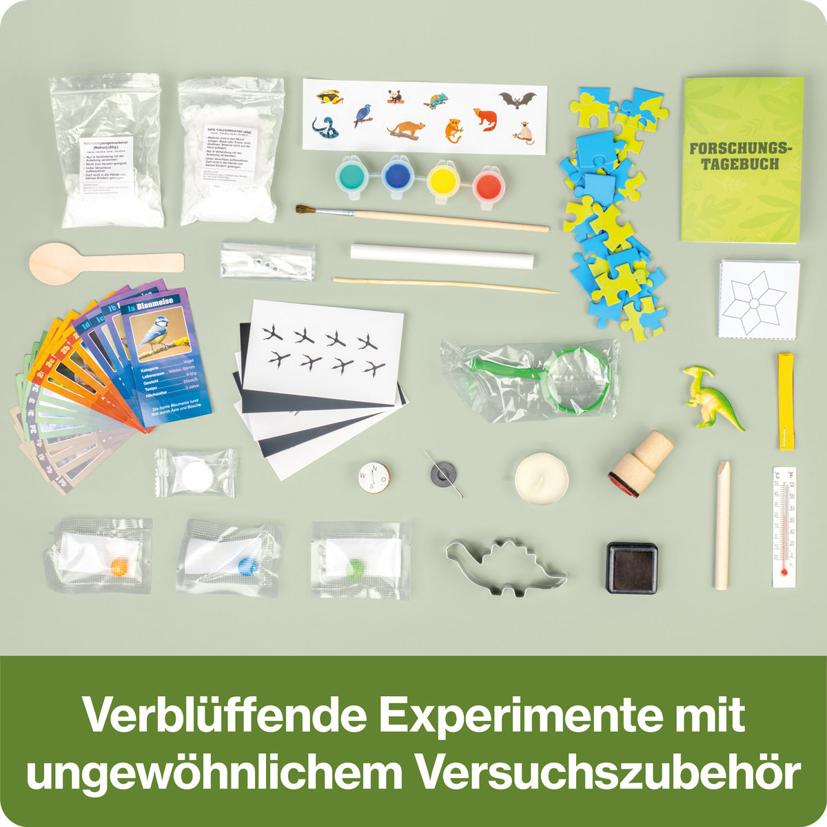 CheXperiment Adventskalender - Forsche und entdecke mit Checker Tobi