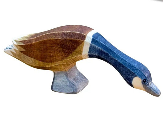 OstheimerKanadagans
