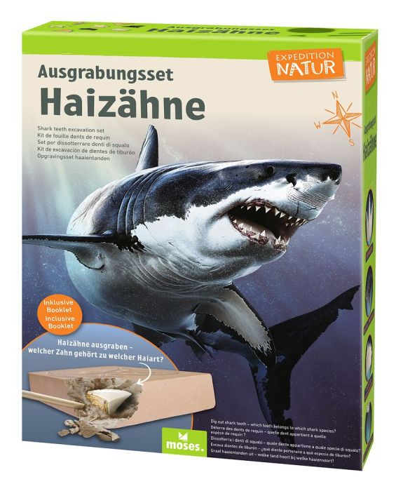 Moses Ausgrabungsset Haizähne