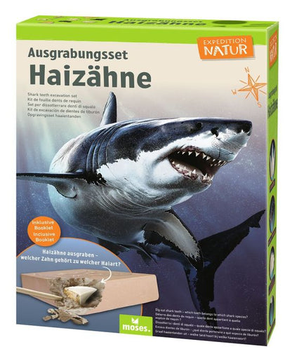 Moses Ausgrabungsset Haizähne