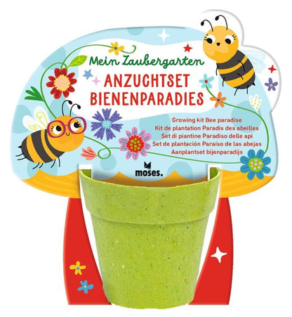 Zaubergarten Anzuchtset