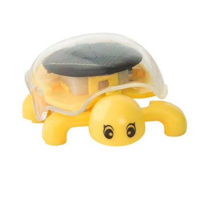 Moses Phänomint solarschildkröte