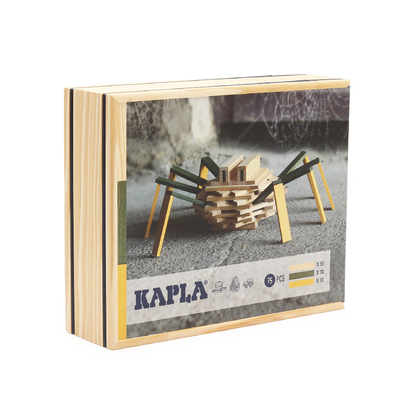 Kapla Baukasten Spinne