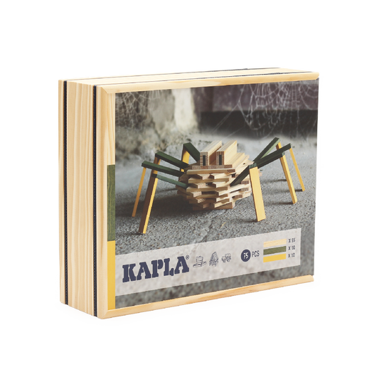 Kapla Baukasten Spinne