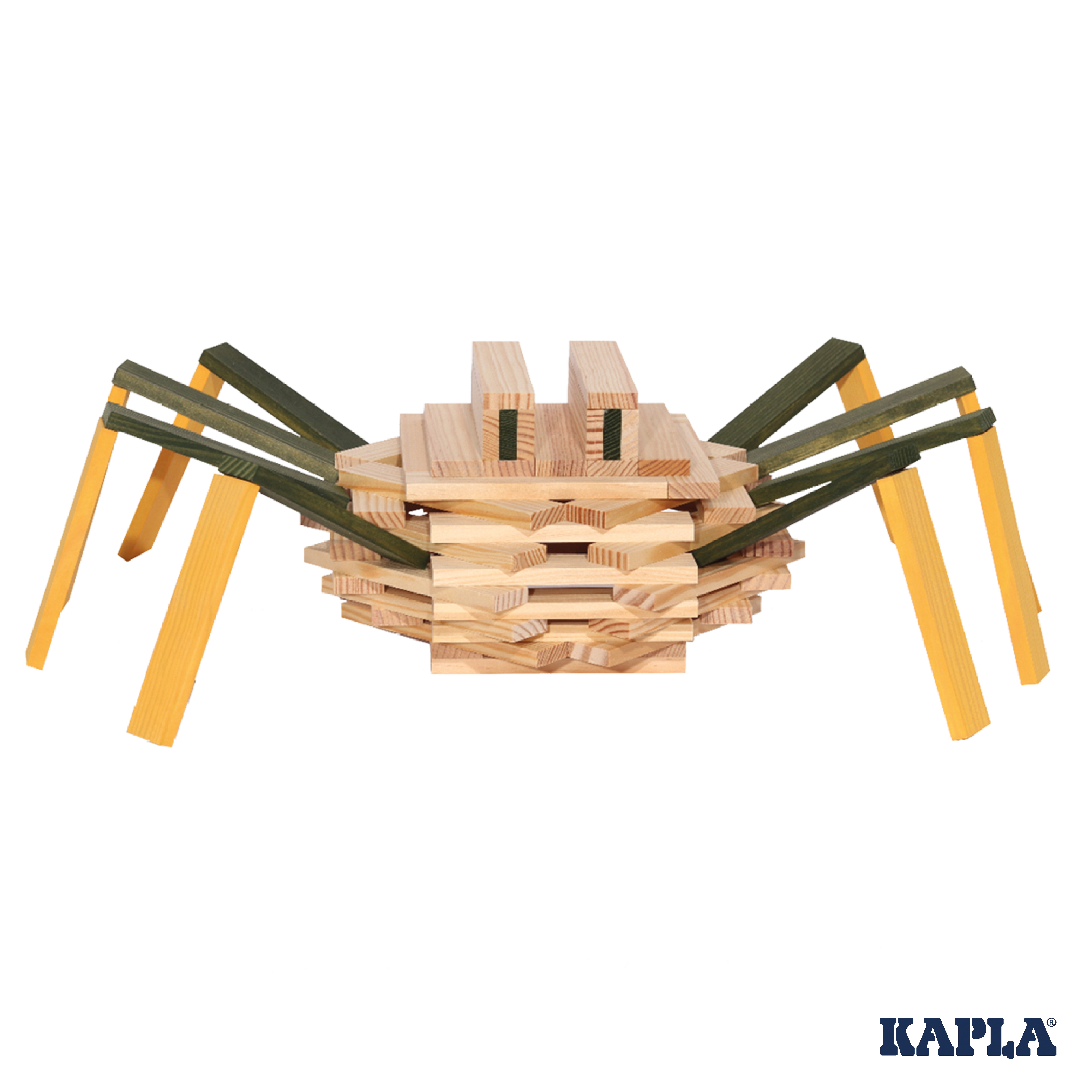 Kapla Baukasten Spinne