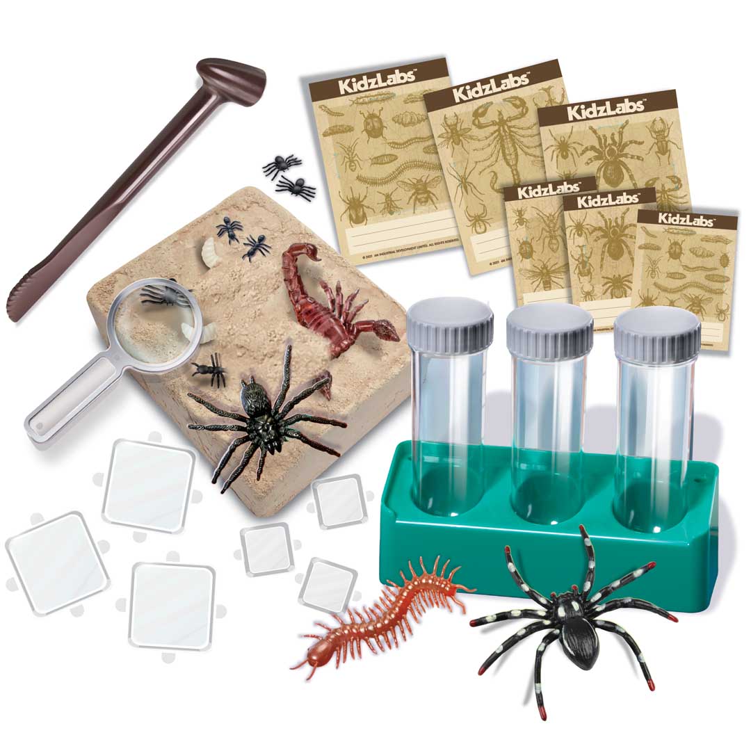 Halloween Creepy Crawly-Ausgrabungsset