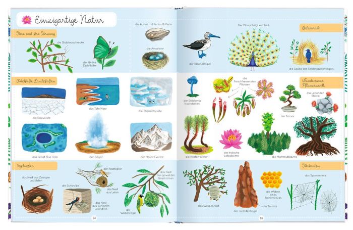 Moses Expedition Natur 1000 Wörter der Natur - Mein erstes Lexikon