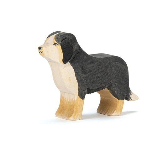 Ostheimer - 10521 Berner Sennhund