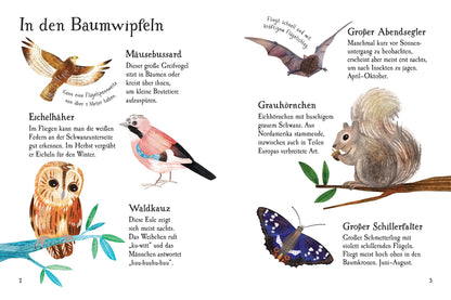 Usborne Minis - Naturführer Im Wald