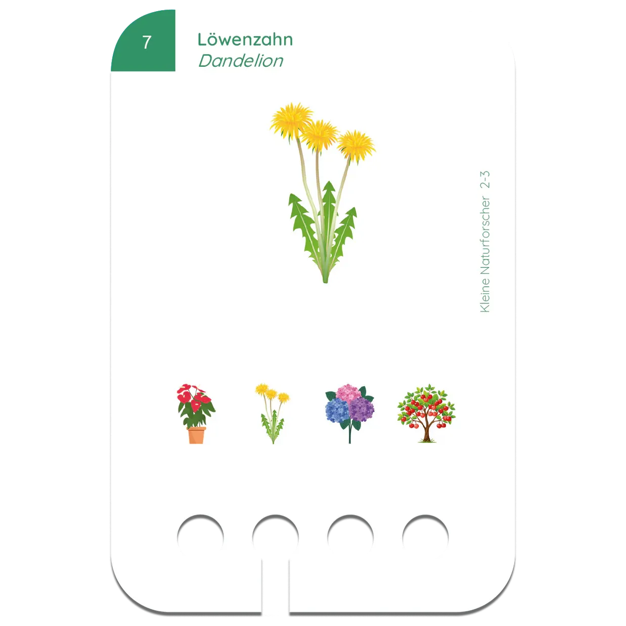 Kölner Lernspielverlag - kleine Naturforscher, 2-3 Jahre