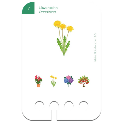 Kölner Lernspielverlag - kleine Naturforscher, 2-3 Jahre
