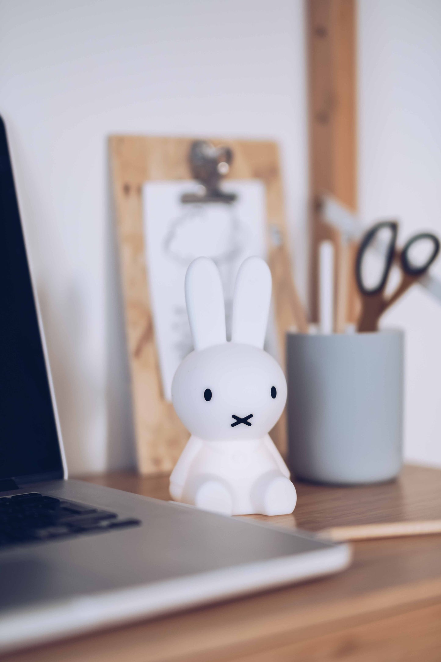 MrMaria Bundle of Light miffy