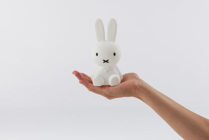 MrMaria Bundle of Light miffy