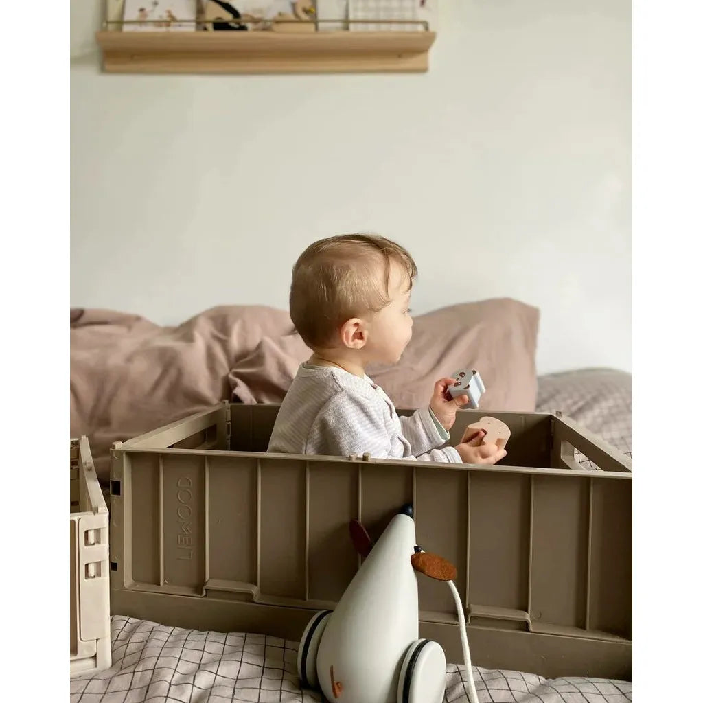 Liewood Weston Storage Box L Oat