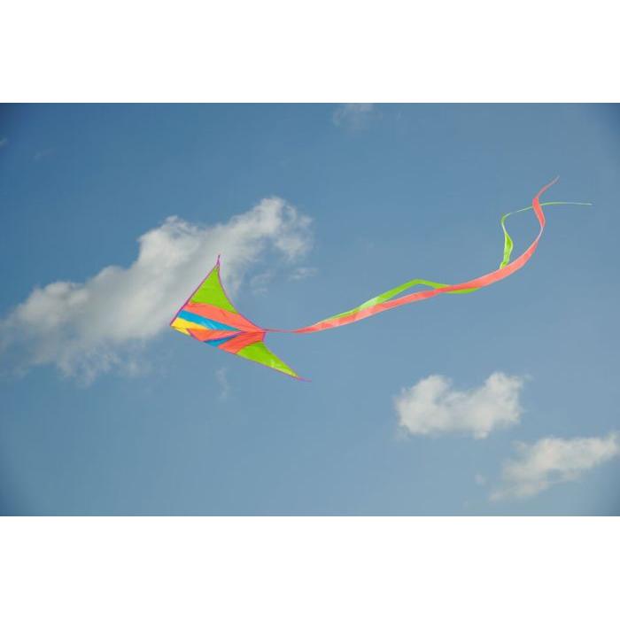 Moses Neon Taschen-Flugdrache